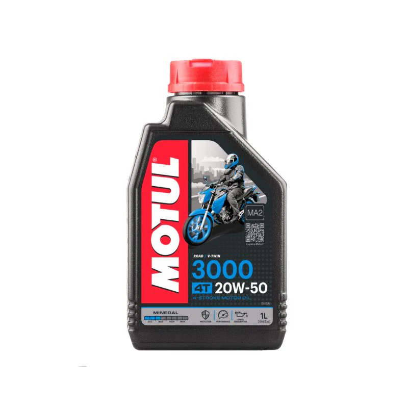 3000
